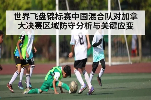 世界飞盘锦标赛中国混合队对加拿大决赛区域防守分析与关键应变